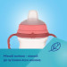 Canpol babies Поїльник-непроливайка Canpol babies Bonjour Paris з силіконовим носиком FirstCup 250 мл Рожева (56/613_pin)