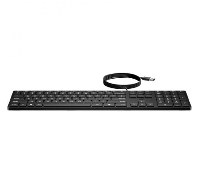 HP Клавіатура HP 320K USB UA Black (9SR37UT)