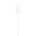 Apple Зарядний пристрій Apple Watch Magnetic Fast Charger to USB-C Cable (1 m) (MT0H3ZM/A)