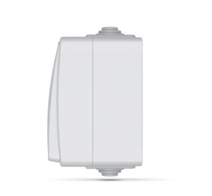 Videx Вимикач Videx BINERA IP65 зовнішній 2кл з підсвічуванням (BINERA IP65 наружный 2кл с подсветкой)