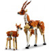 LEGO Конструктор LEGO Creator Дикі тварини сафарі 780 деталей (31150)