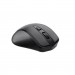 2E Мишка 2E MF213 Wireless Black (2E-MF213WB)