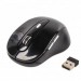 Gembird Мишка Gembird MUSW-6B-01-B Black (MUSW-6B-01)
