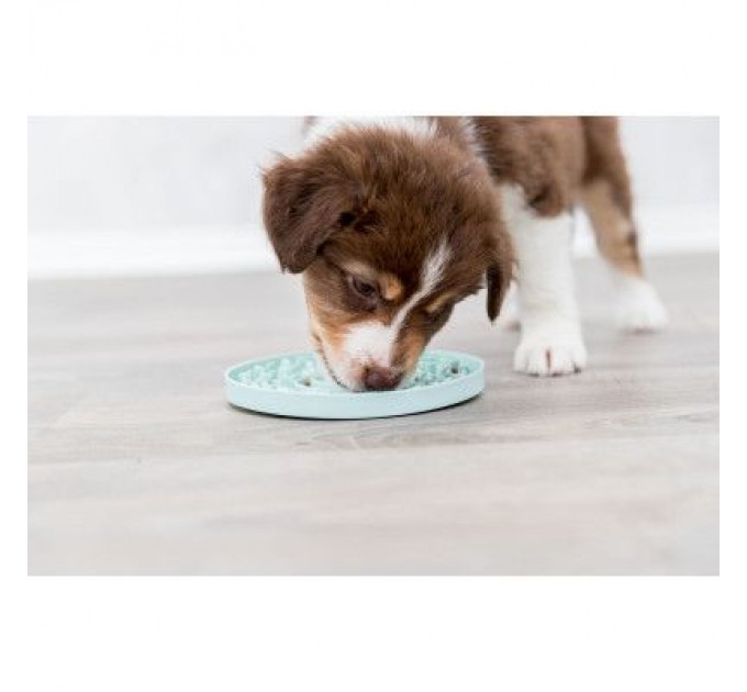 Trixie Посуд для собак Trixie Миска «Junior» для повільного годування 15 см (м'ятний) (4011905349541)