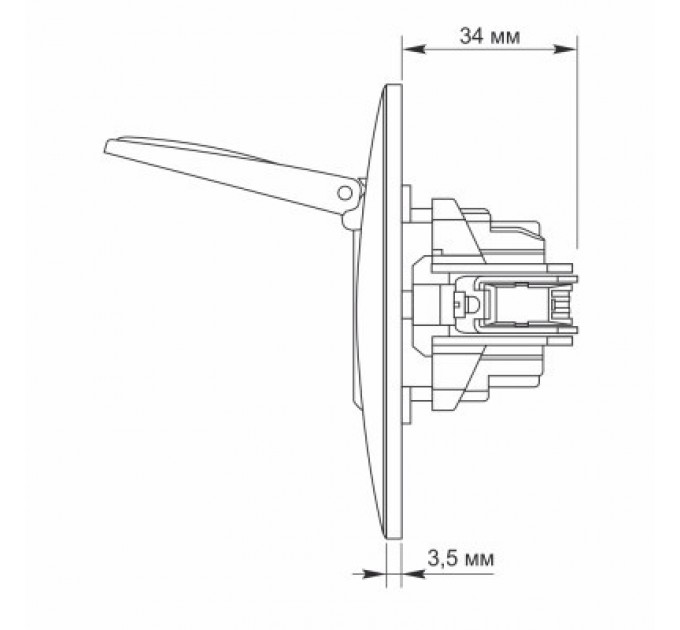 Videx Розетка Videx BINERA 1ая із заземленням і кришкою (VF-BNSK)