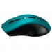 Canyon Мишка Canyon MW-5 Wireless Green-Black (CNE-CMSW05G)
