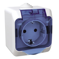 Розетка Schneider Electric CEDAR 2К+С зі шторками та прозорою кришкою белая IP44 (WDE000543)