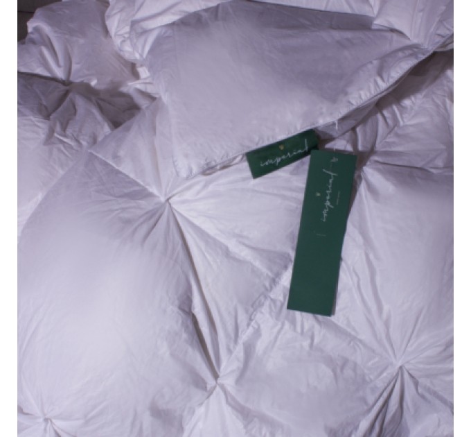 MirSon Ковдра MirSon Imperial Brilliance Зима 100% пух 110x140 см (2200007177080)