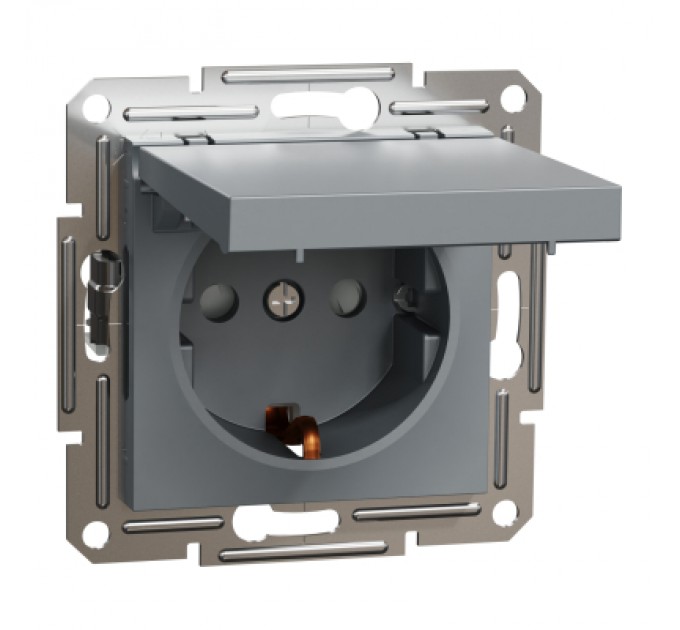Schneider Electric Розетка Schneider Electric ASFORA з кришкою, сталь (EPH3100162)