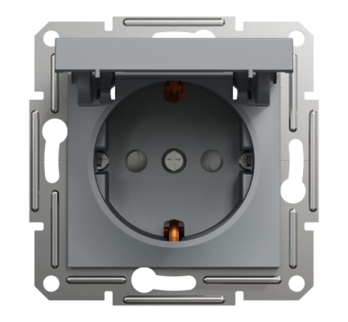 Schneider Electric Розетка Schneider Electric ASFORA з кришкою, сталь (EPH3100162)