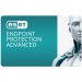 Eset Антивірус Eset PROTECT Advanced з локал. управл. 14 ПК на 1year Business (EPAL_14_1_B)