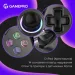 GamePro Геймпад GamePro GPS13B BT 5.3/USB/PC/iOS/Android/PS3/PS4 RGB Black (GPS13B)