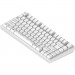 Dark Project Клавіатура Dark Project ALU81 Terra Nova PBT RGB Mech G3MS Moonstone White (DPKB_NOVA_81_ANSI_WHITE_UA)