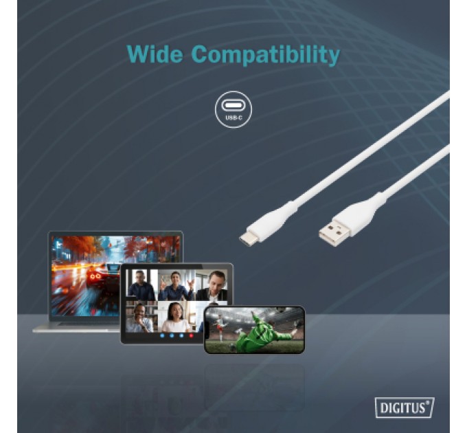 Digitus Дата кабель USB 2.0 AM to Type-C 2.0m 60W white Digitus (AK-300340-020-W)