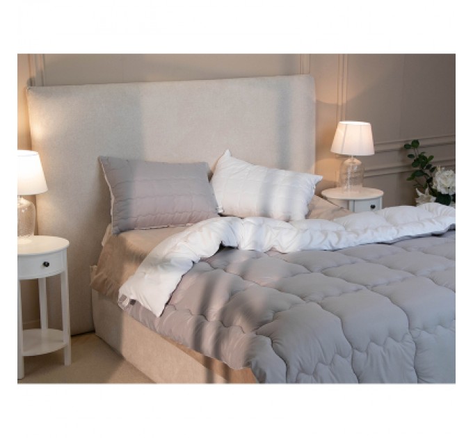 Руно Ковдра Руно зимова силіконова Grey White 200 х 220 (322.52_Grey White)