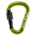 Salewa Карабін туристичний Salewa HMS Screw G2 1525 5810 - Med - зелений (013.003.1318)