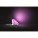 Philips Настільна лампа Philips Hue Bloom, Color, BT, DIM, біла (929002375901)