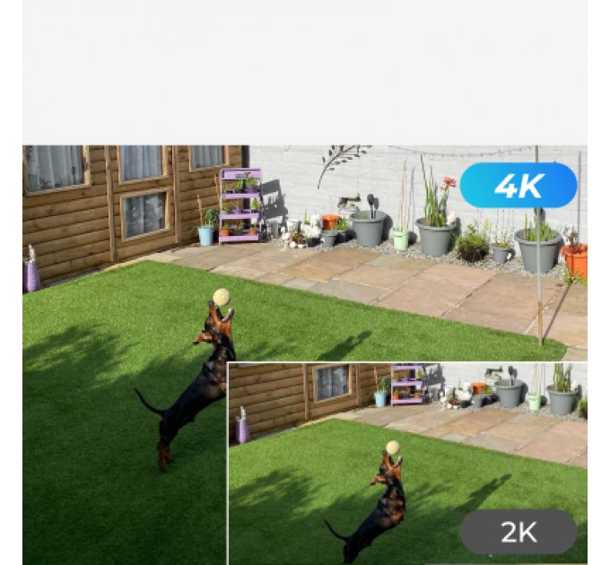 Reolink Камера відеоспостереження Reolink P334 (2.8)