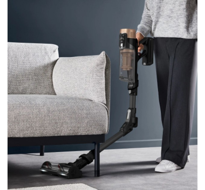 Rowenta Пилосос Rowenta RH9B74WO