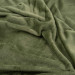Ardesto Плед Ardesto Flannel 100% поліестер, зелений 200х220 см (ART0212SB)