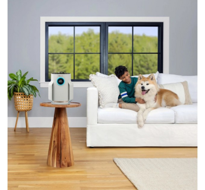 Shark Очисник повітря Shark NeverChange5 Air Purifier Compact Pro (HP072EU)