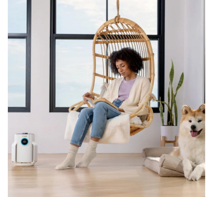 Shark Очисник повітря Shark NeverChange5 Air Purifier Compact Pro (HP072EU)