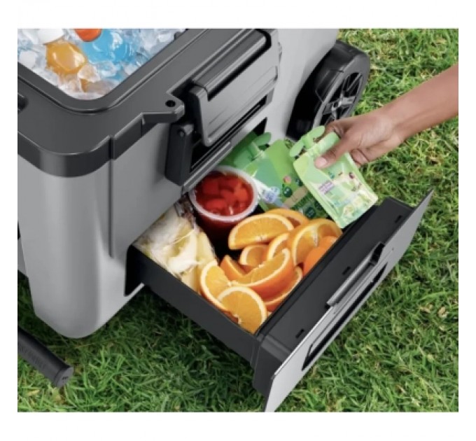 Ninja Термобокс Ninja FrostVault 42L Hard Coole Grey (FB245EUGY)