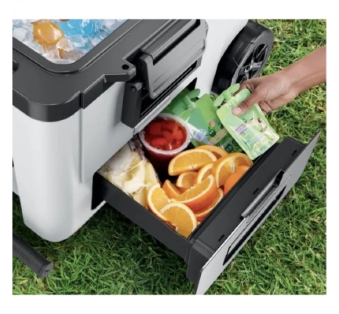 Ninja Термобокс Ninja FrostVault 42L Hard Coole White (FB245EUWH)