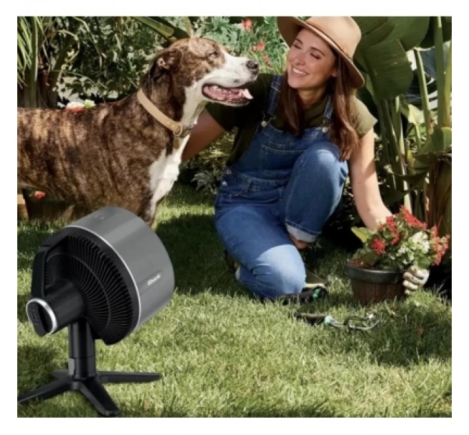 Shark Вентилятор Shark FlexBreeze (FA150EU)