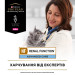 Purina Pro Plan Veterinary Diets Вологий корм для кішок Purina Pro Plan Veterinary Diets NF Renal Function Advanced Care При патології нирок З лососем 10 x 85 г (7613287873699)