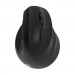 2E Мишка 2E MF325 Silent Wireless/Bluetooth Black (2E-MF325WBK)