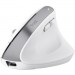 Trust Мишка Trust Bayo+ Ergonomic Wireless/Bluetooth White (25399)