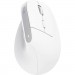 Trust Мишка Trust Bayo+ Ergonomic Wireless/Bluetooth White (25399)