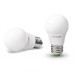 Eurolamp Лампочка Eurolamp E27 (MLP-LED-A60-10274(E))