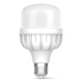 TITANUM Лампочка TITANUM A80 20W E27 6500К (TL-HA80-20276)