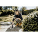 Karcher Пилосос Karcher WD 3 P V-17/4/20 (1.628-170.0)