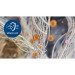 Philips Очисник повітря Philips AC0650/10