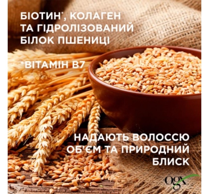 OGX Набір косметики OGX Біотинова формула з колагеном для об'єму та зміцнення волосся Шампунь + Кондиціонер (3574661864952)