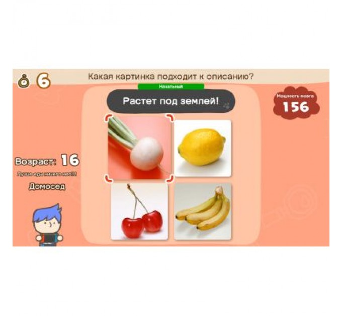 Nintendo Гра Nintendo Switch Big Brain Academy: Brain vs. Brain (45496429164)