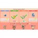 Nintendo Гра Nintendo Switch Big Brain Academy: Brain vs. Brain (45496429164)