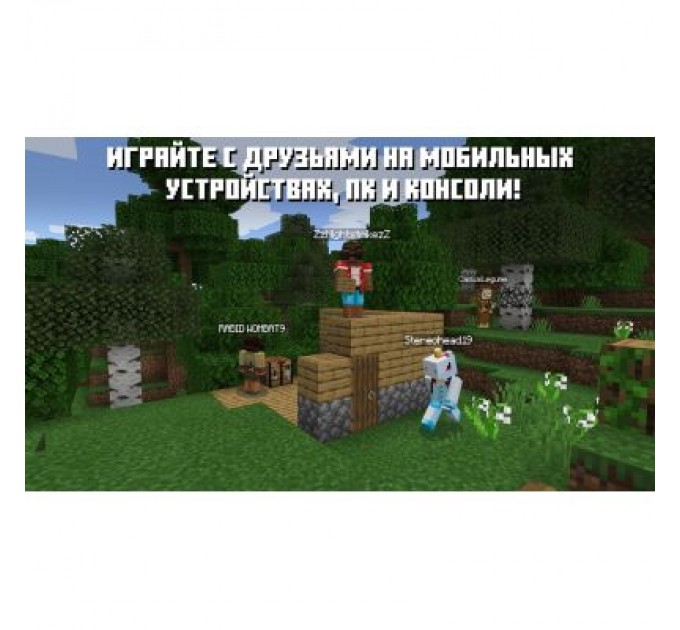 Nintendo Гра Nintendo Switch Minecraft (045496420628)