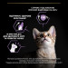 Purina Pro Plan Сухий корм для кішок Purina Pro Plan Original Kitten з куркою 400 г (7613036545099)