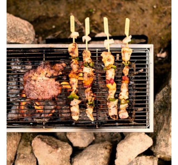 Naturehike Гриль-барбекю Naturehike Mini Picnic BBQ Grill NH20CJ006 Сталь (6927595767672)