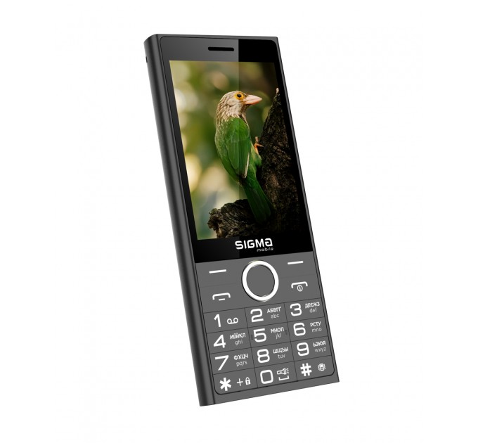 Sigma mobile Мобiльний телефон Sigma mobile X-Style 353 Trend Dual Sim Black (4827798626214)