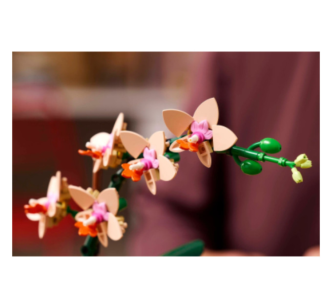 LEGO Конструктор LEGO Botanicals Міні орхідея (10343)