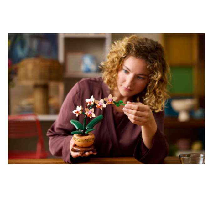 LEGO Конструктор LEGO Botanicals Міні орхідея (10343)