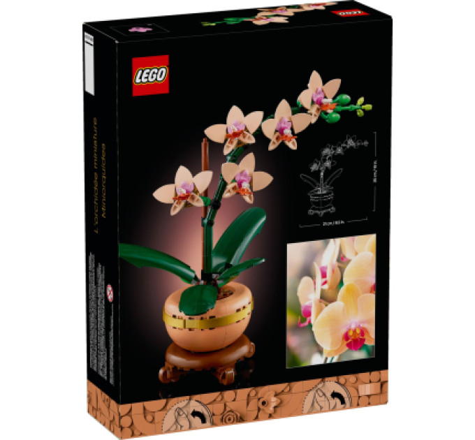 LEGO Конструктор LEGO Botanicals Міні орхідея (10343)