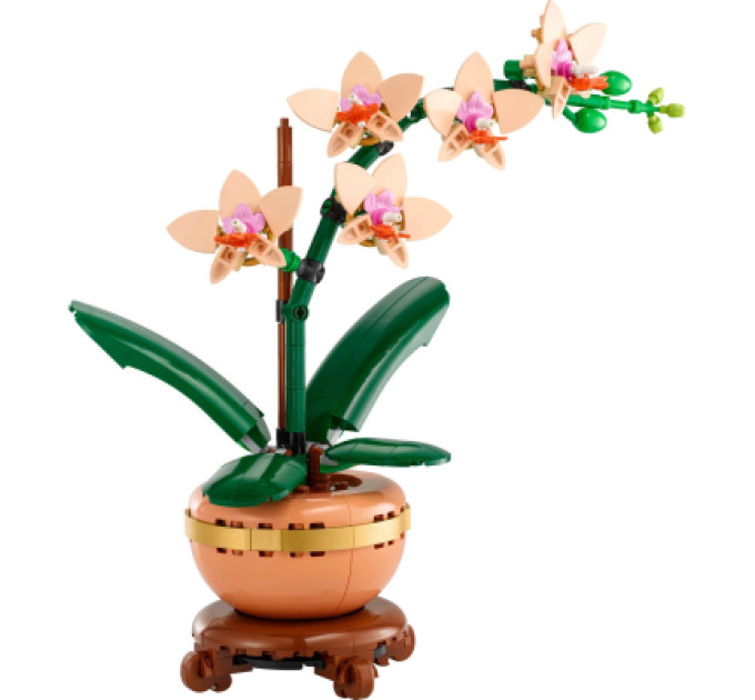 LEGO Конструктор LEGO Botanicals Міні орхідея (10343)