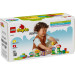 LEGO Конструктор LEGO DUPLO Town Творчий сад і квіти (10444-)