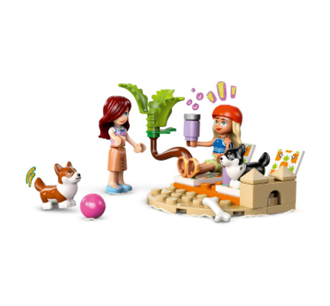 LEGO Конструктор LEGO Friends Собачі пригоди на серфі та скутері (42641)